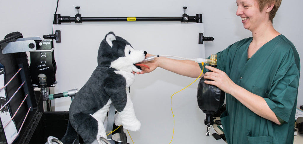 SmartLung Infant helps veterinarians with artificial respiration